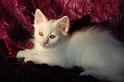 Nell, 10 Wochen